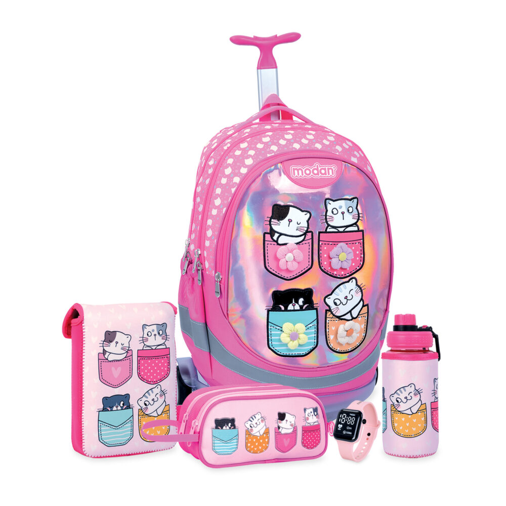 מארז מנצח ארבעה חתולים בכיס